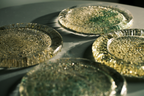 Glass Plates in Mixed Olive