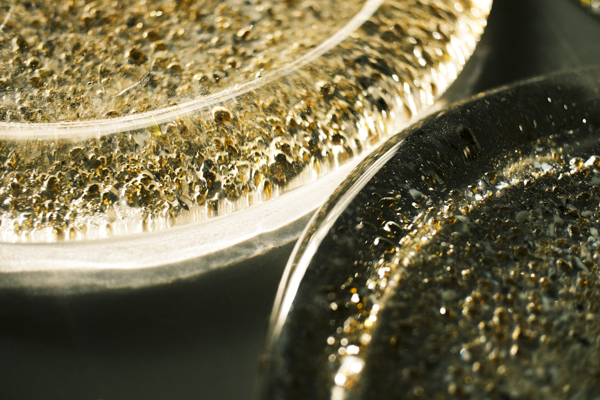 Glass Plates in Brulee