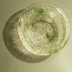 Fruit Bowl in Lichen